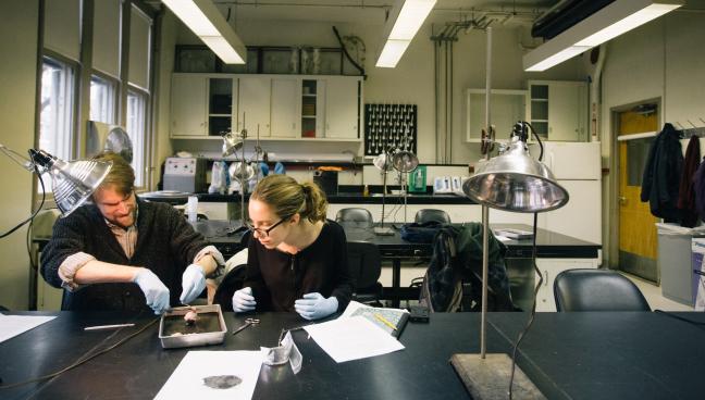 People in a classroom dissecting a cow eye.